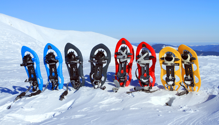 Salidas con raquetas de nieve